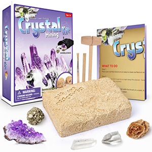 Archaeological Archaeological Fossils Children DIY Puzzle Exploration Mining Toys Teaching Creative